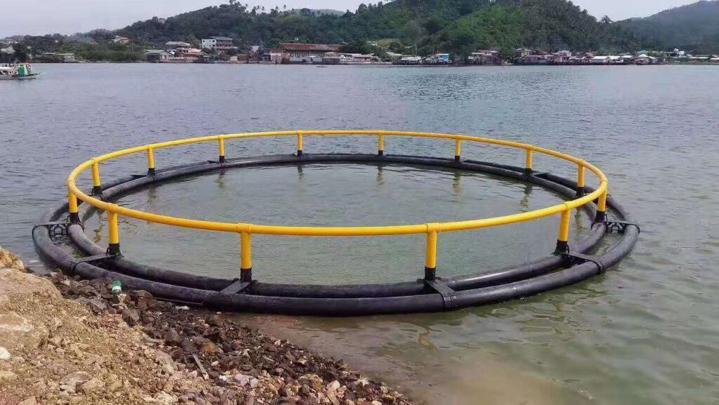 River Fish Cage at Rs 75000/unit aquaculture net cage in Raigad, floating  fish cage